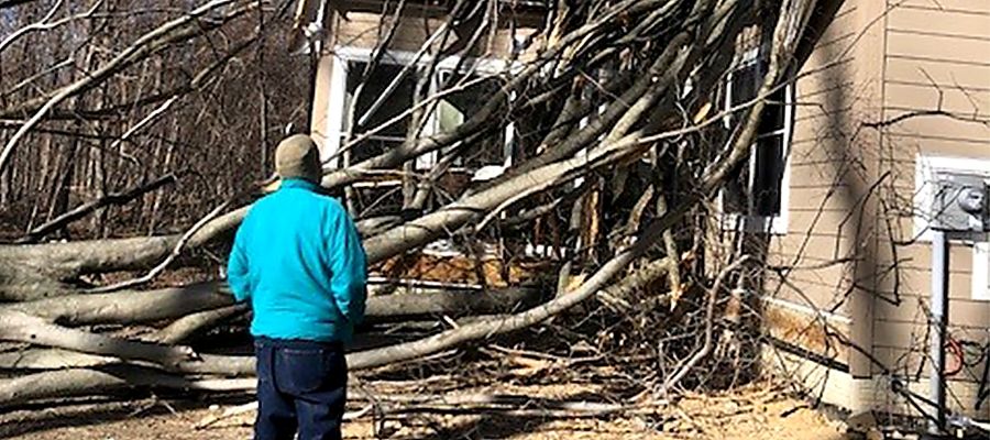 Fallen trees on newly built custom home after Ohio wind storm owner looking at trees.